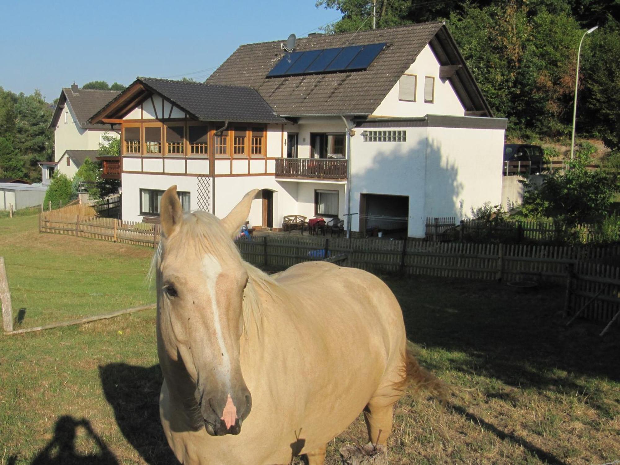 黑斯特霍兹餐厅-酒店 Hemmelzen 外观 照片